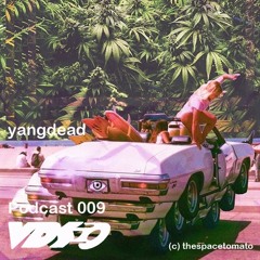 VDS Podcast Nr.009 w/ yangdead (VDS)