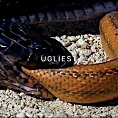 $uicideboy$ - Ugliest (slowed)