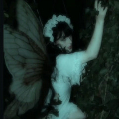 fairy b!tes