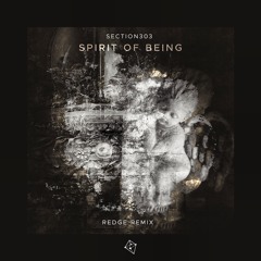 Section303 - Spirit Of Being (Redge Remix)