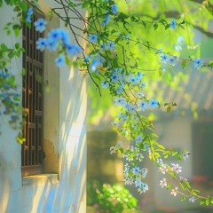 Chi Bằng Hãy Gặp Nhau Một Lần - 不如見一面 - Piano version[Full]