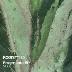 PREMIERE: VSSL - Fallin [ROA-003]