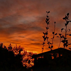 more than just one reason, if none find one