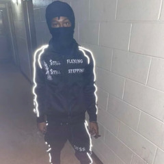 24 Pap - Pedigree