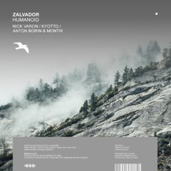 Premiere: Zalvador - Humanoid [Mango Alley]