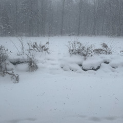 Super icy - freestyle