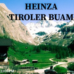 Tiroler Buam (fun track)
