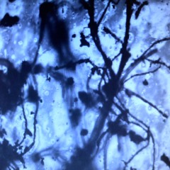 Astrazeneka + Ketraeda - Short Daze