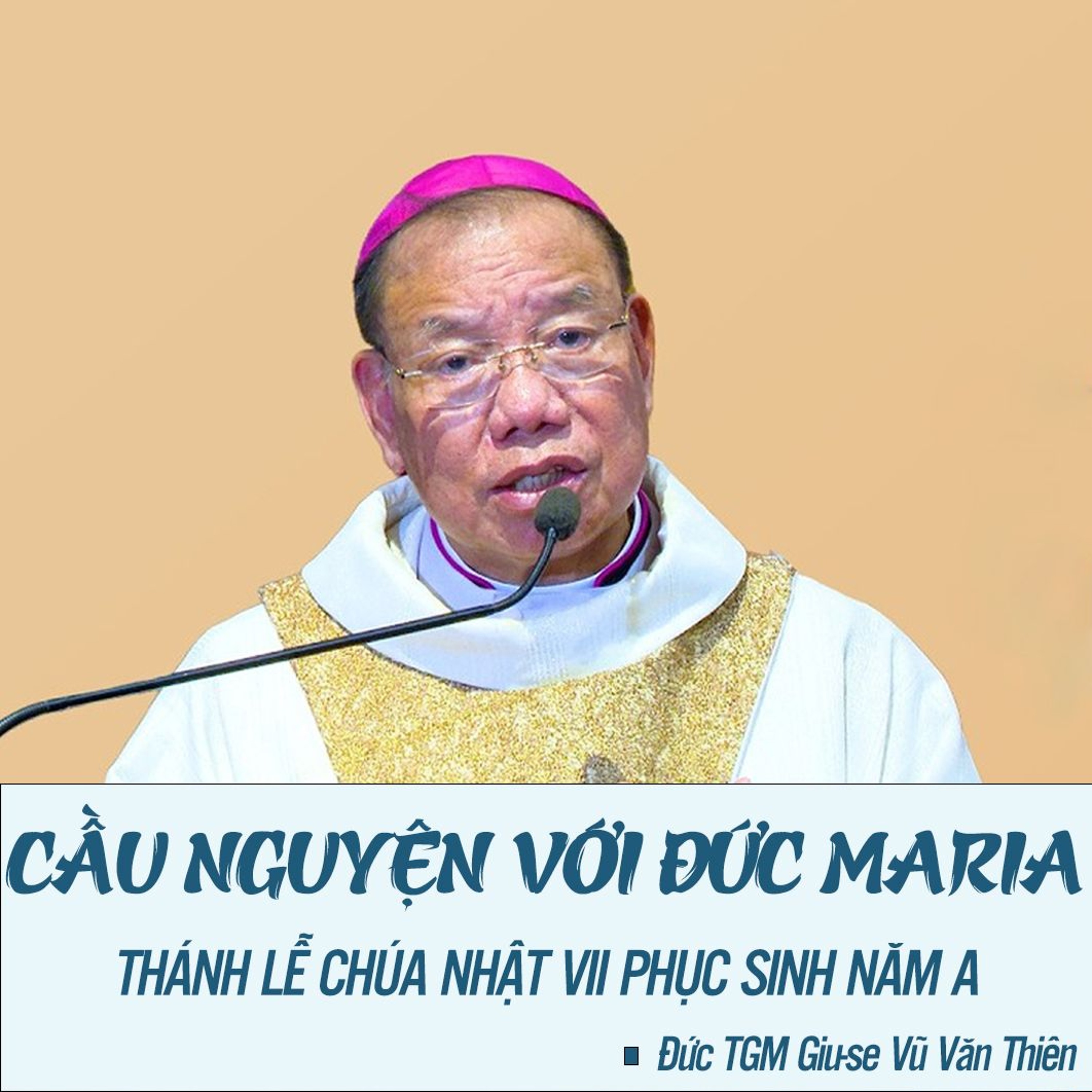 CN VII PS A || Cầu nguyện với Đức Maria ||  Đức TGM Giu-se Vũ Văn Thiên episode artwork