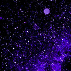 mozart - star prod trappnem