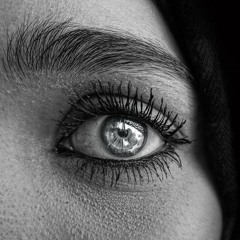 Bloom rap Percussion