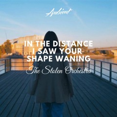 The Stolen Orchestra - In The Distance I Saw Your Shape Waning