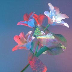 Flume - Never Be Like You (feat. Kai)[KUREI remix]