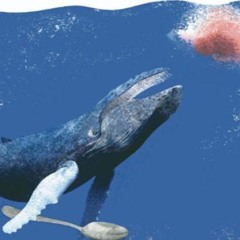 Podcast Maravillas Del Oceano