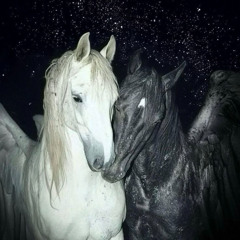 TOY PERDIDO EN ESE FELLING