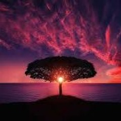 New Chapter Sounds - By DJ Marie
