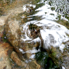 Potável: As Águas que Bebemos e Cuidamos > Américo Ferreira, Coletivo Guarda Rios, Sara Correia