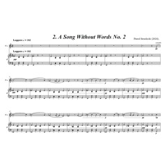 Pawel Strzelecki: 2. A Song Without Words No. 2 [Sonata for Alto Flute and Piano (2024)].