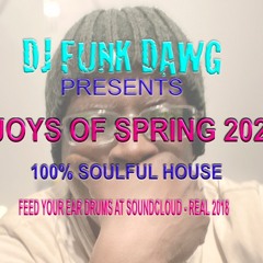 Joys Of Spring 2024 100% Soulful House