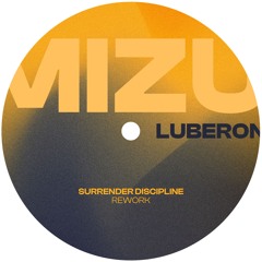 PREMIERE: Mizu - Luberon (Surrender Discipline Instrumental Mix)