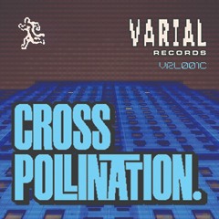 PREMIERE: Norris Raider - Sky Dive [Varial Records]