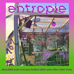 stinia3000 | entropie Festival 2025 | Alter Falter
