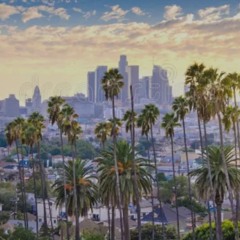 Lazy LA Breeze