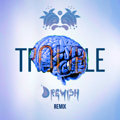 Trouble - Memorecks (JustDrewish Remix)