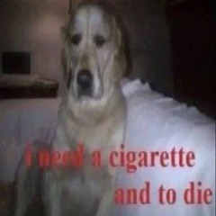 i need a cigarette and to die