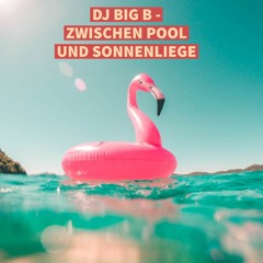 DJ Big B - Zwischen Pool Und Sonnenliege