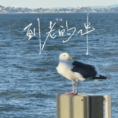 到老的伴 (伴奏)