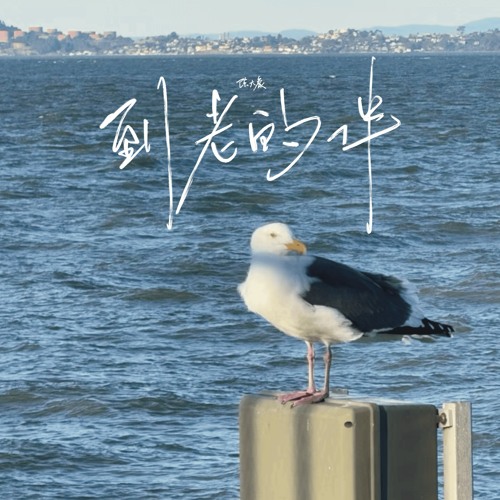 到老的伴 (伴奏)