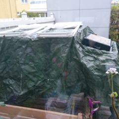 A spirit bled for all the stubbornness he saw here on earth