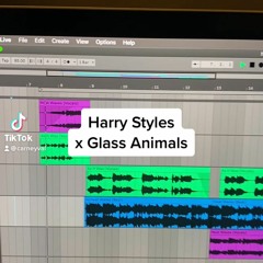 Harry Styles x Glass Animals (Carneyval Mashup)