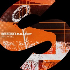 Redondo & MALARKEY - Way I Feel