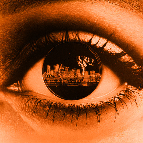 WANTS & NEEDS - ORANGE PROJECT