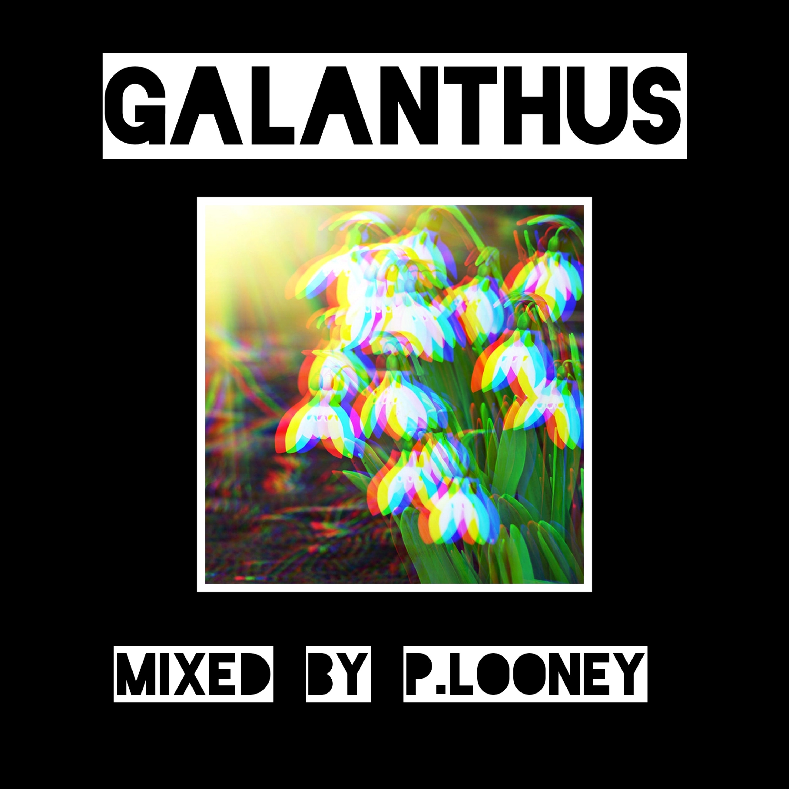 Galanthus episode artwork