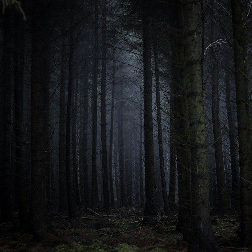 DJ Adhamoff - Travel To Jungle (Original Mix).mp3