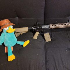 Perrytherealnigga