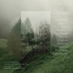 Ekosystem Album Preview