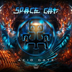 Space Cat - Acid Gate