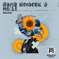 DAVID NOVACEK & HOLE- Musica (Original Mix)