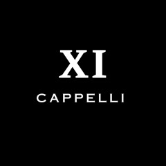 MUSIK XI (MIXED BY CAPPELLI)