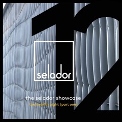 *Selador Premiere* - Dave Seaman - Buzzfuzzle