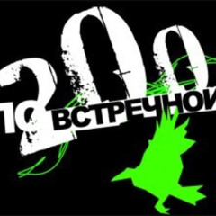 200 по встречной - 9 жизней