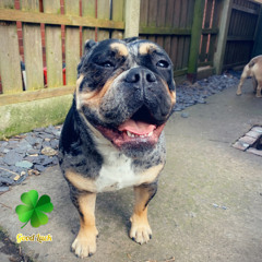 MC Innes - Call Me On The Weekend