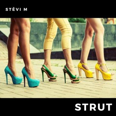 Strut- Stevi M