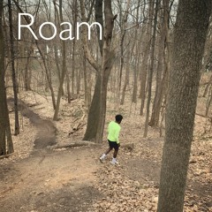Roam