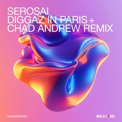 Serosai - Diggaz in Paris + Chad Andrew Remix EP [HP010]