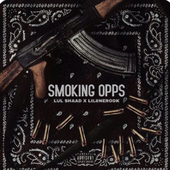 Lul Shaad ft LIL8neroDK - smoking opps (officalSong)